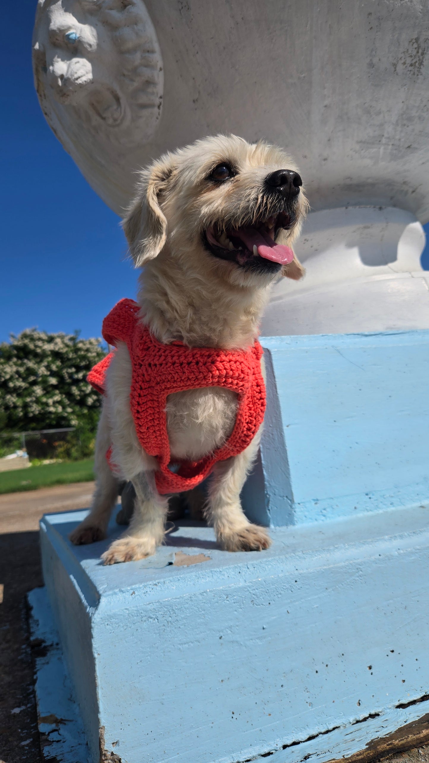Fur Squared Dog Sweater
