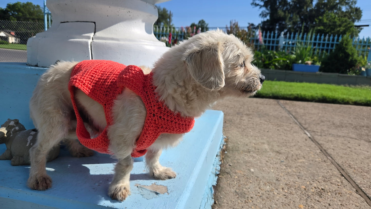 Fur Squared Dog Sweater