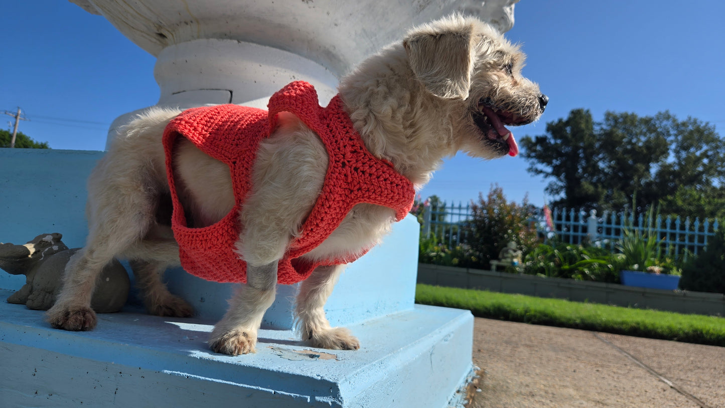 Fur Squared Dog Sweater